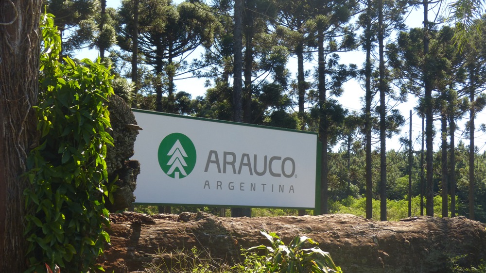 Milei y el cambio de reglas: Forestal Arauco en Argentina entre los 9  principales terratenientes – Hora12